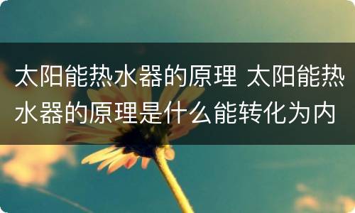 太阳能热水器的原理 太阳能热水器的原理是什么能转化为内能
