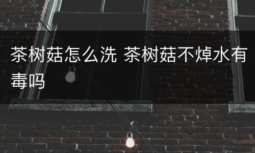 茶树菇怎么洗 茶树菇不焯水有毒吗