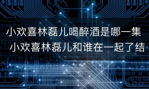 小欢喜林磊儿喝醉酒是哪一集 小欢喜林磊儿和谁在一起了结局