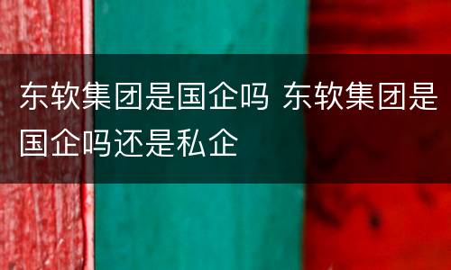 东软集团是国企吗 东软集团是国企吗还是私企