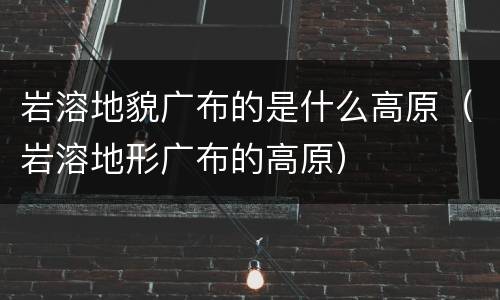 岩溶地貌广布的是什么高原（岩溶地形广布的高原）