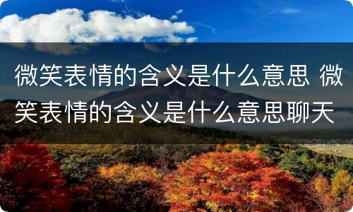 微笑表情的含义是什么意思 微笑表情的含义是什么意思聊天记录