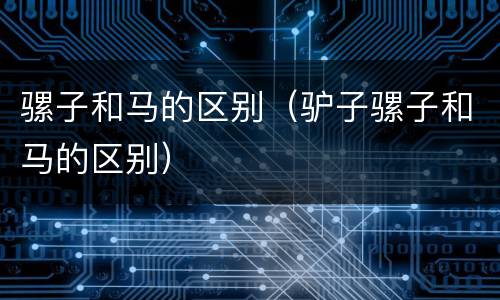 骡子和马的区别（驴子骡子和马的区别）