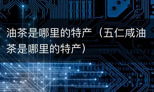 油茶是哪里的特产（五仁咸油茶是哪里的特产）