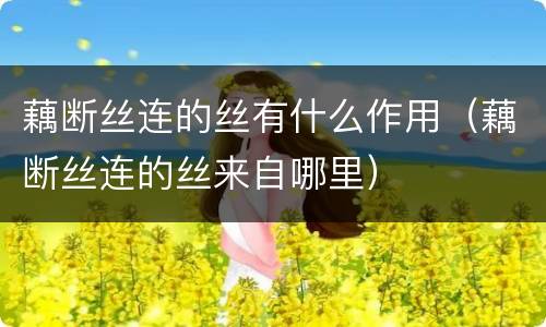藕断丝连的丝有什么作用（藕断丝连的丝来自哪里）