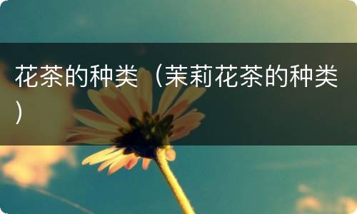 花茶的种类（茉莉花茶的种类）