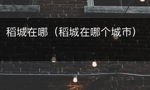 稻城在哪（稻城在哪个城市）