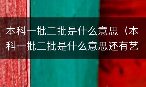 本科一批二批是什么意思（本科一批二批是什么意思还有艺术类）