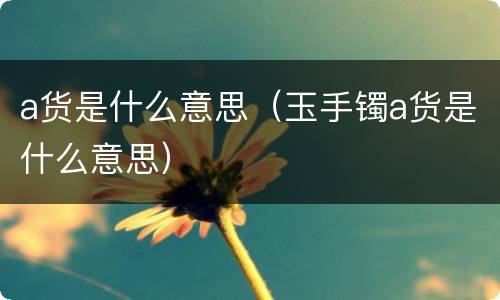 a货是什么意思（玉手镯a货是什么意思）
