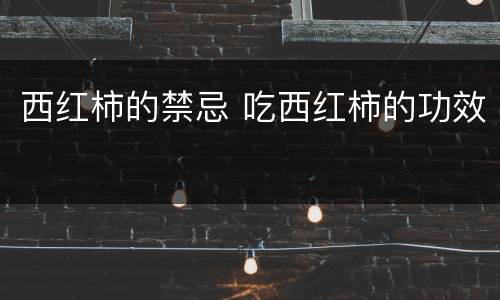 西红柿的禁忌 吃西红柿的功效