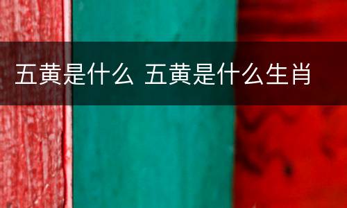 五黄是什么 五黄是什么生肖