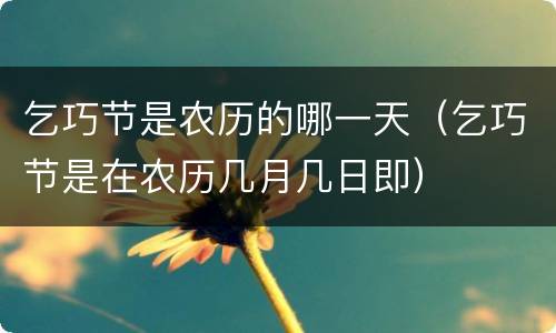 乞巧节是农历的哪一天（乞巧节是在农历几月几日即）