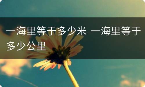 一海里等于多少米 一海里等于多少公里