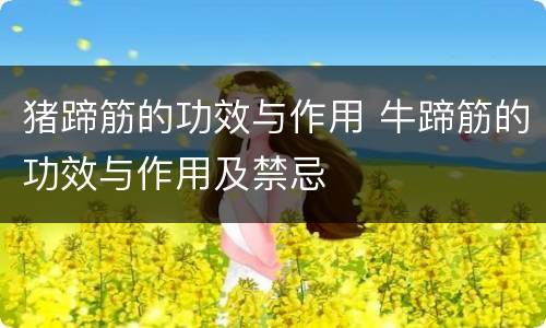 猪蹄筋的功效与作用 牛蹄筋的功效与作用及禁忌