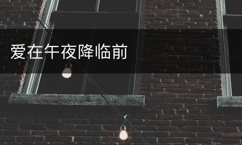爱在午夜降临前