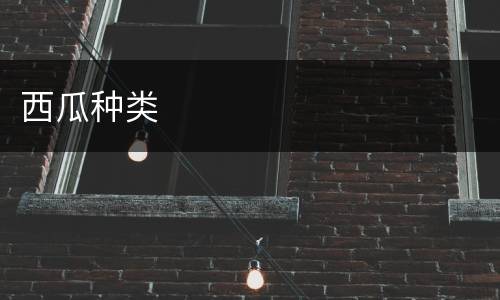 西瓜种类