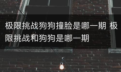极限挑战狗狗撞脸是哪一期 极限挑战和狗狗是哪一期
