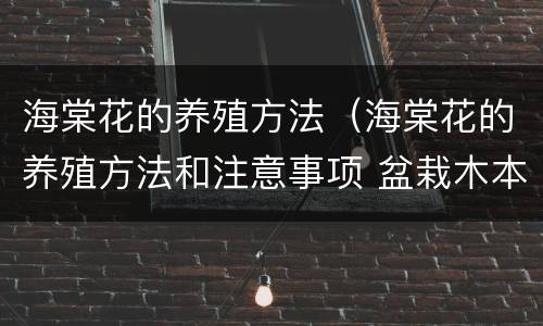 海棠花的养殖方法（海棠花的养殖方法和注意事项 盆栽木本）
