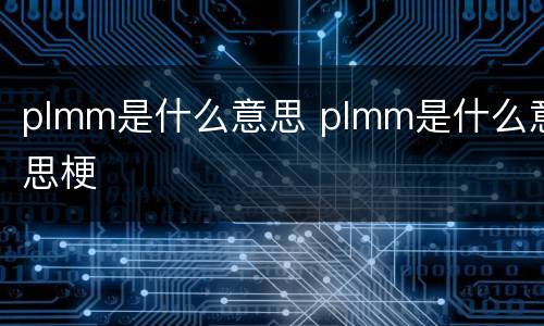 plmm是什么意思 plmm是什么意思梗