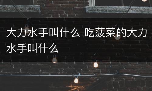 大力水手叫什么 吃菠菜的大力水手叫什么