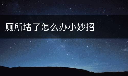 厕所堵了怎么办小妙招