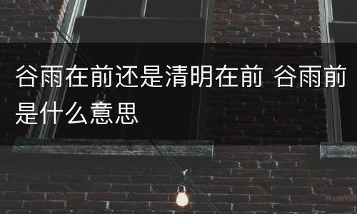 谷雨在前还是清明在前 谷雨前是什么意思