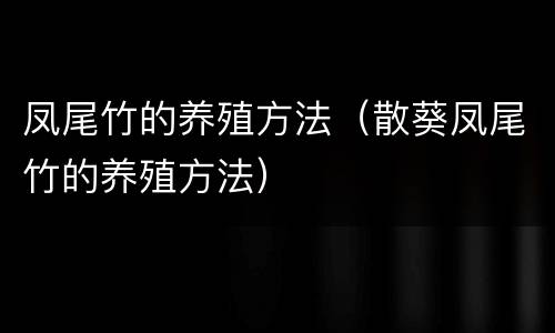 凤尾竹的养殖方法（散葵凤尾竹的养殖方法）