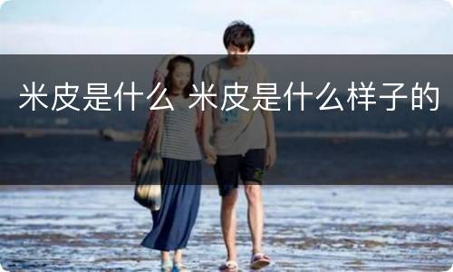 米皮是什么 米皮是什么样子的