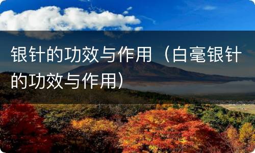 银针的功效与作用（白毫银针的功效与作用）
