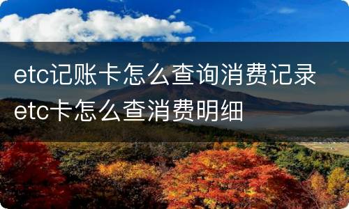 etc记账卡怎么查询消费记录 etc卡怎么查消费明细