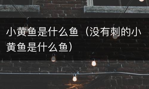 小黄鱼是什么鱼（没有刺的小黄鱼是什么鱼）