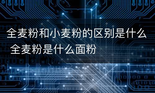 全麦粉和小麦粉的区别是什么 全麦粉是什么面粉