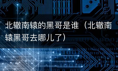 北辙南辕的黑哥是谁（北辙南辕黑哥去哪儿了）