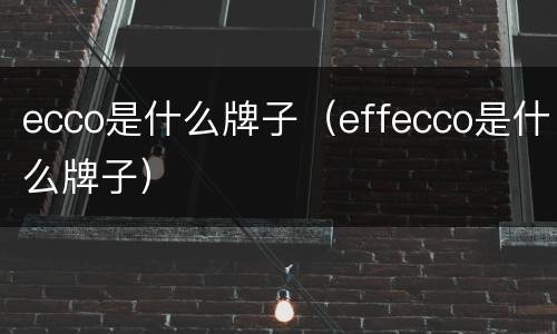 ecco是什么牌子（effecco是什么牌子）