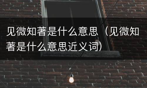 见微知著是什么意思（见微知著是什么意思近义词）