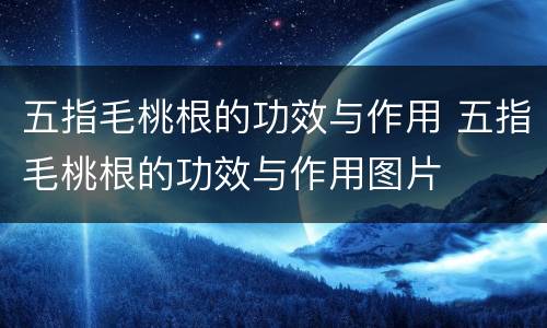 五指毛桃根的功效与作用 五指毛桃根的功效与作用图片