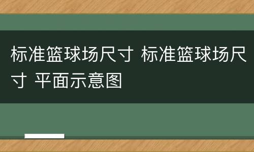 标准篮球场尺寸 标准篮球场尺寸 平面示意图