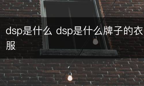 dsp是什么 dsp是什么牌子的衣服