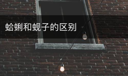蛤蜊和蚬子的区别