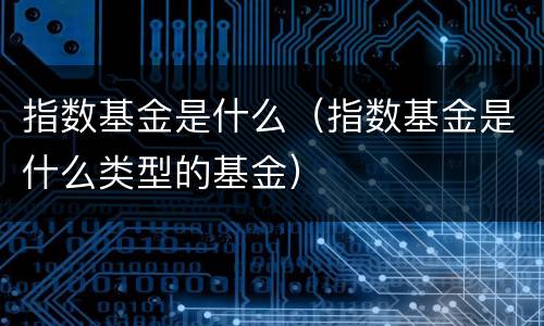指数基金是什么（指数基金是什么类型的基金）