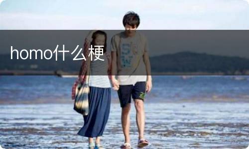 homo什么梗