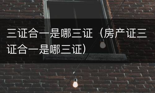 三证合一是哪三证（房产证三证合一是哪三证）