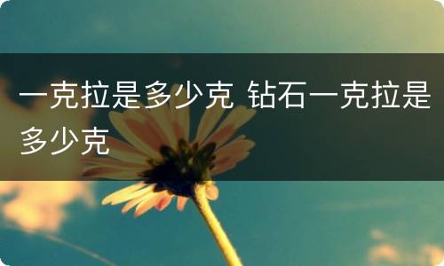 一克拉是多少克 钻石一克拉是多少克