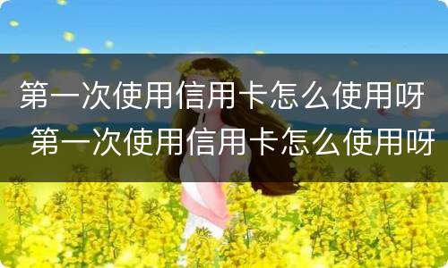 第一次使用信用卡怎么使用呀 第一次使用信用卡怎么使用呀安全吗