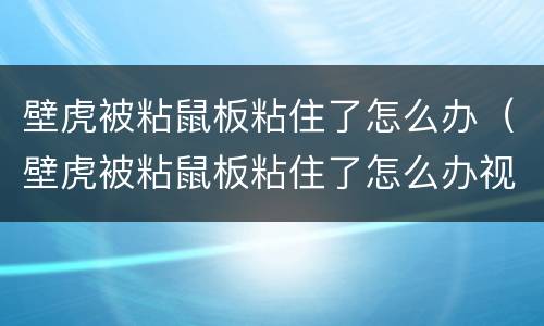 壁虎被粘鼠板粘住了怎么办（壁虎被粘鼠板粘住了怎么办视频）