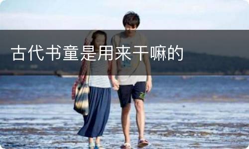 古代书童是用来干嘛的