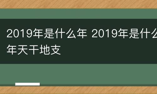 2019年是什么年 2019年是什么年天干地支