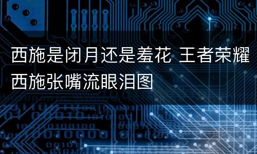 西施是闭月还是羞花 王者荣耀西施张嘴流眼泪图