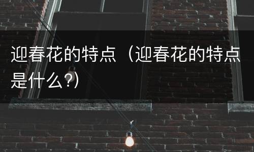 迎春花的特点（迎春花的特点是什么?）