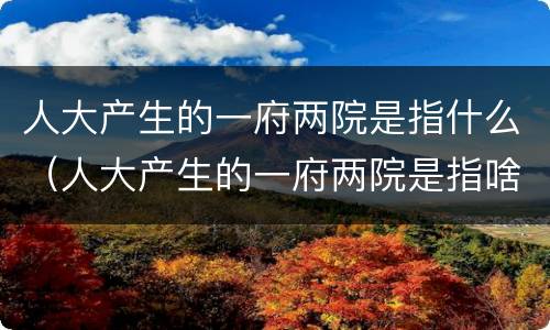 人大产生的一府两院是指什么（人大产生的一府两院是指啥）